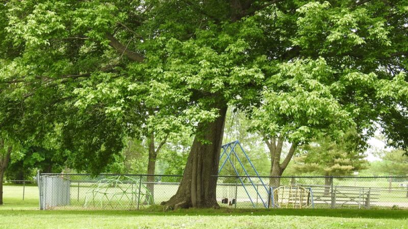 Hurie Park - Petersburg, IL