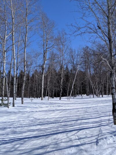 Prides Creek Park - Petersburg, IN
