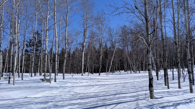 Prides Creek Park - Petersburg, IN