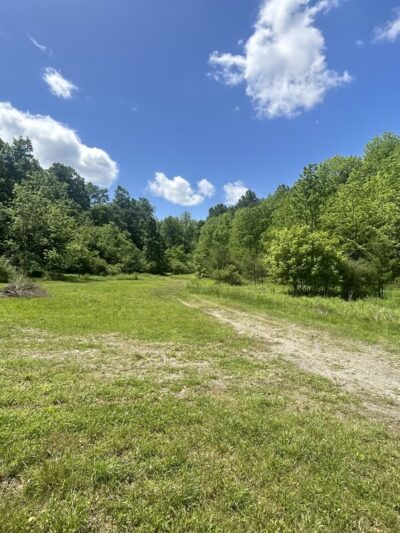 Wilson’s Boondock Hollow - Petersburg, PA