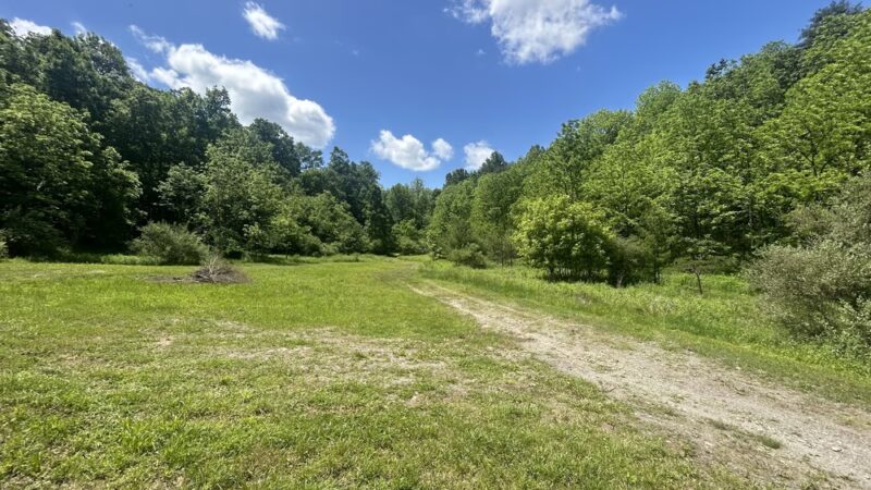 Wilson’s Boondock Hollow - Petersburg, PA