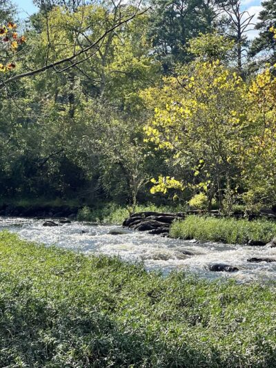 Appomattox River Trail - Lower Falls (University Blvd Trailhead) - Petersburg, VA