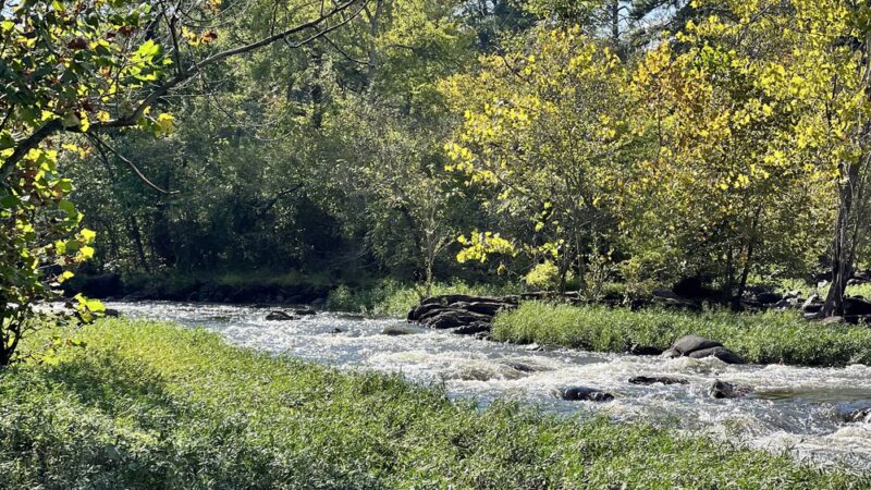 Appomattox River Trail - Lower Falls (University Blvd Trailhead) - Petersburg, VA