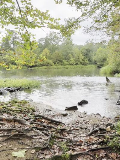 Appomattox River Trail - Lower Falls (University Blvd Trailhead) - Petersburg, VA