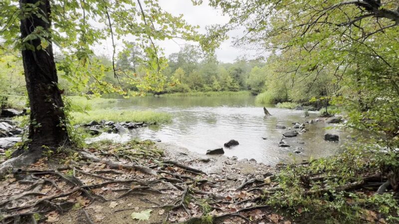 Appomattox River Trail - Lower Falls (University Blvd Trailhead) - Petersburg, VA