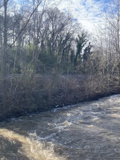 Appomattox River Trail - Lower Falls (University Blvd Trailhead) - Petersburg, VA