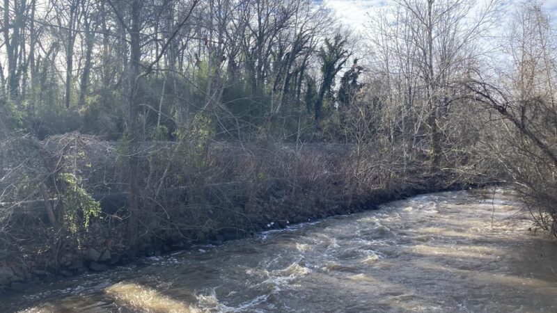 Appomattox River Trail - Lower Falls (University Blvd Trailhead) - Petersburg, VA