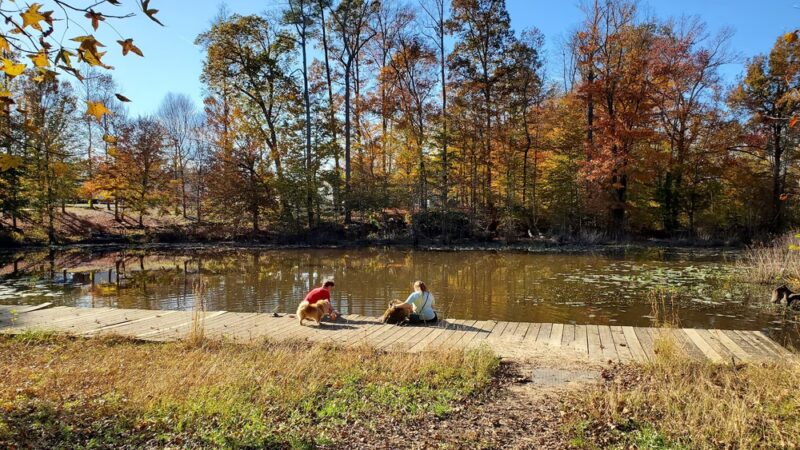Appomattox Riverside Park (Ferndale Park) - Petersburg, VA