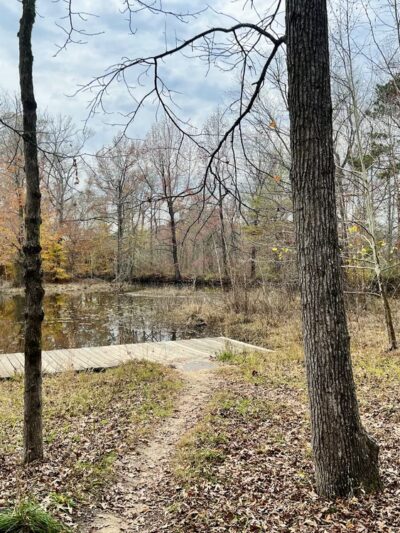 Appomattox Riverside Park (Ferndale Park) - Petersburg, VA