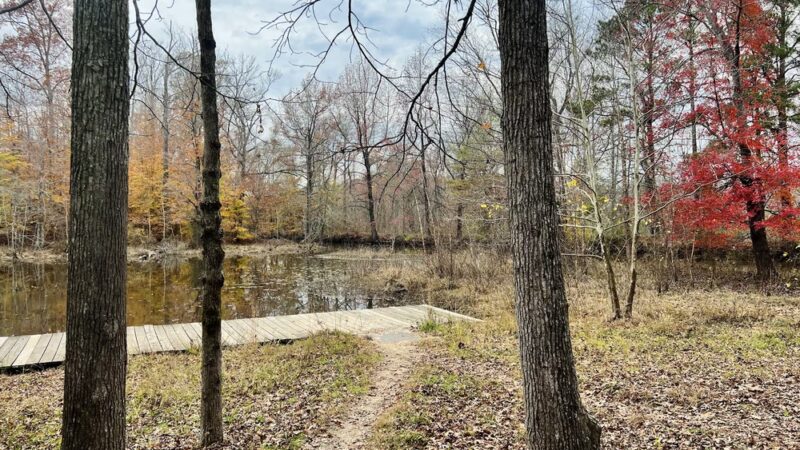 Appomattox Riverside Park (Ferndale Park) - Petersburg, VA
