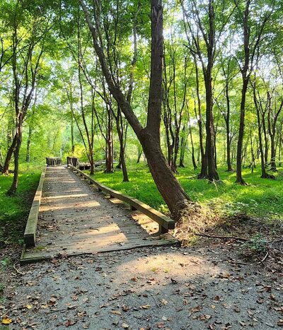 John J. Radcliffe Appomattox River Conservation Area - Petersburg, VA