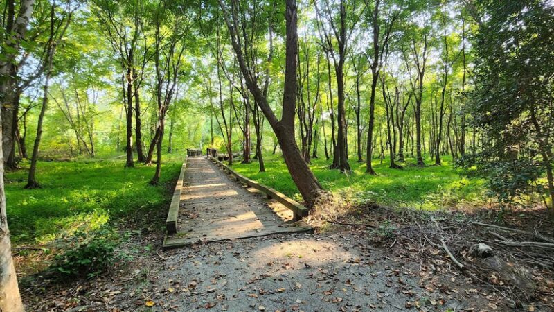 John J. Radcliffe Appomattox River Conservation Area - Petersburg, VA