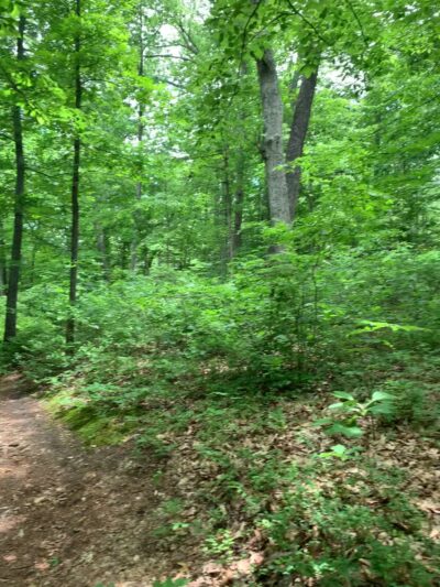 Legends Park - Petersburg, VA