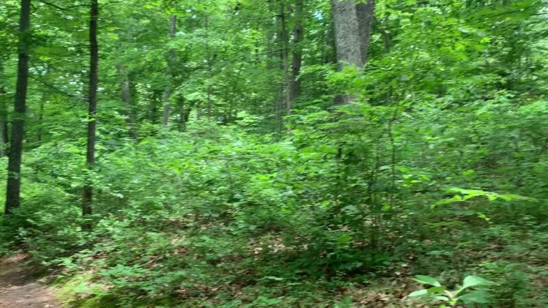 Legends Park - Petersburg, VA