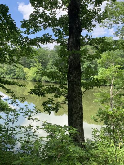 Legends Park - Petersburg, VA