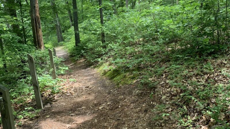 Legends Park - Petersburg, VA