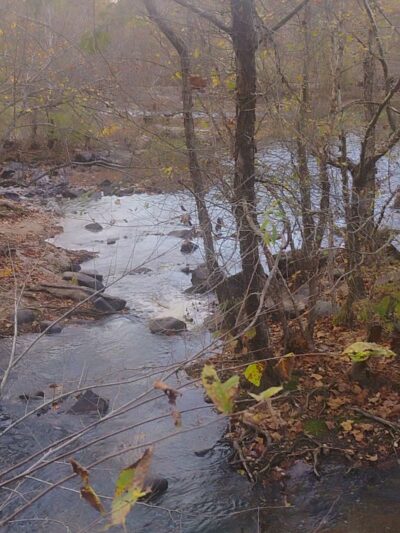 McKenzie Street Park - Petersburg, VA