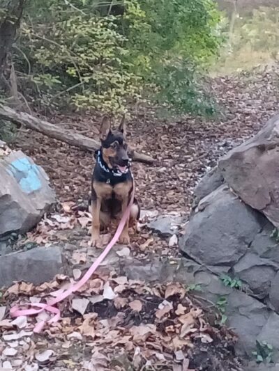 McKenzie Street Park - Petersburg, VA