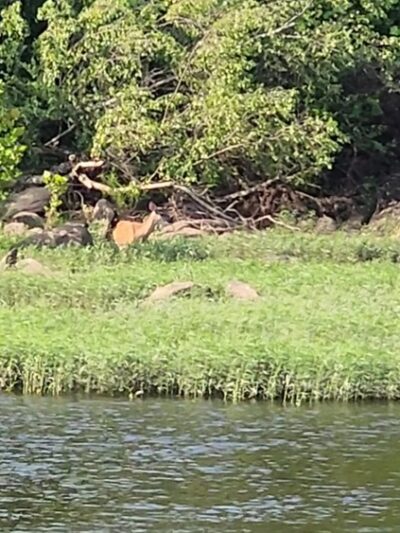 Patton Park - Petersburg, VA