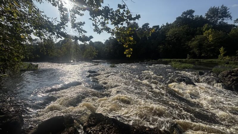 Patton Park - Petersburg, VA