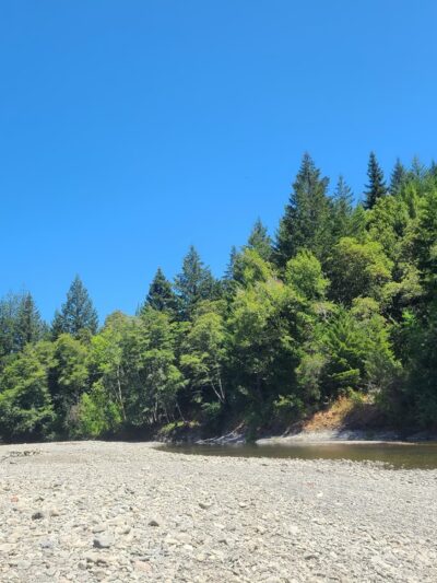A. W. Way County Park - Petrolia, CA