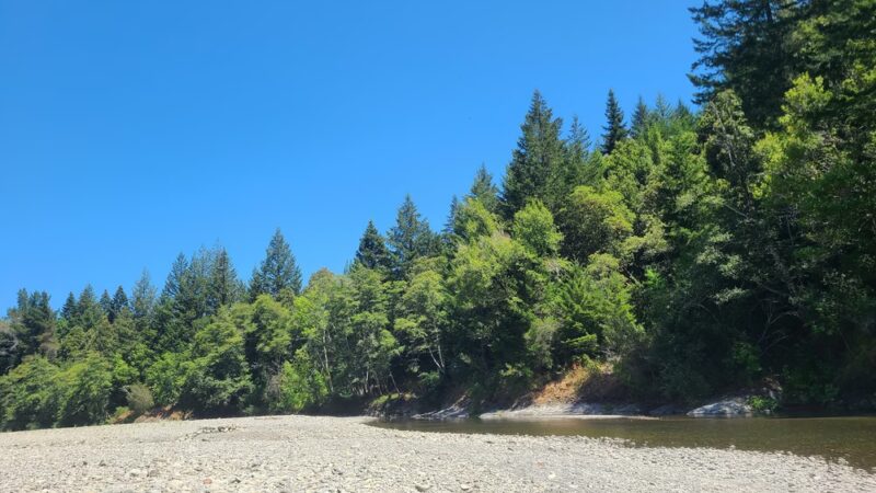 A. W. Way County Park - Petrolia, CA