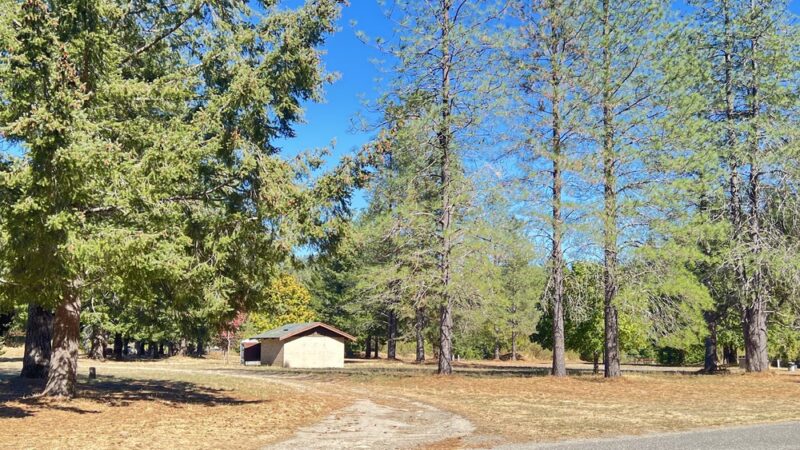 A. W. Way County Park - Petrolia, CA