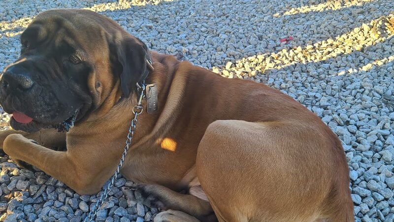 Stacey Reece Park - Pevely, MO