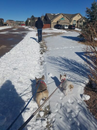 Fairway Heights Park - Peyton, CO