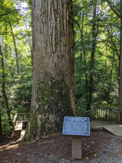 C G Hill Memorial Park - Pfafftown, NC