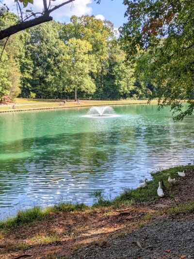 C G Hill Memorial Park - Pfafftown, NC