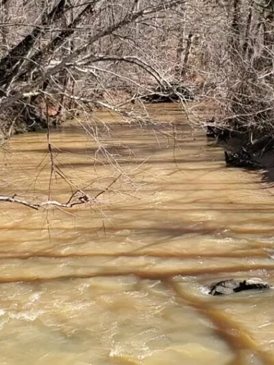 Long Creek Park Trail - Pfafftown, NC