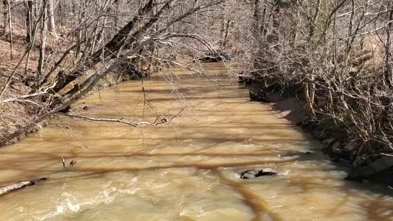 Long Creek Park Trail - Pfafftown, NC
