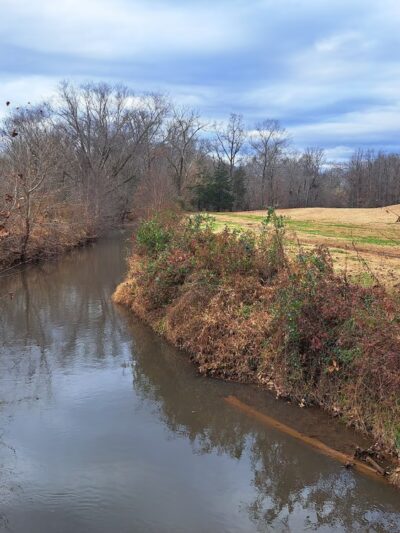 Long Creek Park Trail - Pfafftown, NC