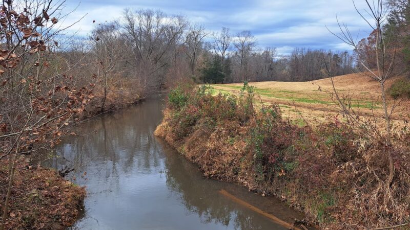 Long Creek Park Trail - Pfafftown, NC