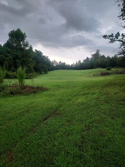 Long Creek Park Trail - Pfafftown, NC