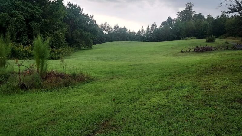 Long Creek Park Trail - Pfafftown, NC