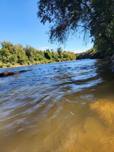 Old US 421 River Park - Pfafftown, NC