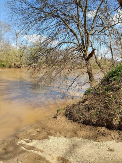 Old US 421 River Park - Pfafftown, NC