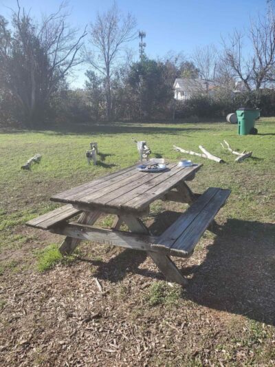 BsBirds&BeesPrivateDogpark - Pflugerville, TX