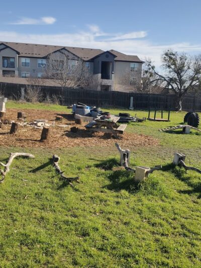 BsBirds&BeesPrivateDogpark - Pflugerville, TX