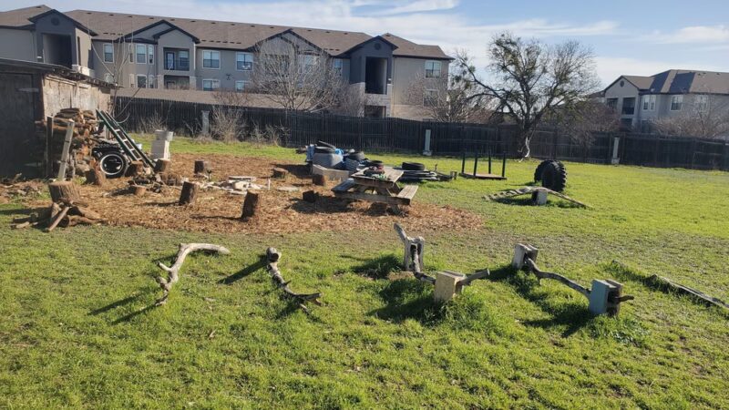 BsBirds&BeesPrivateDogpark - Pflugerville, TX