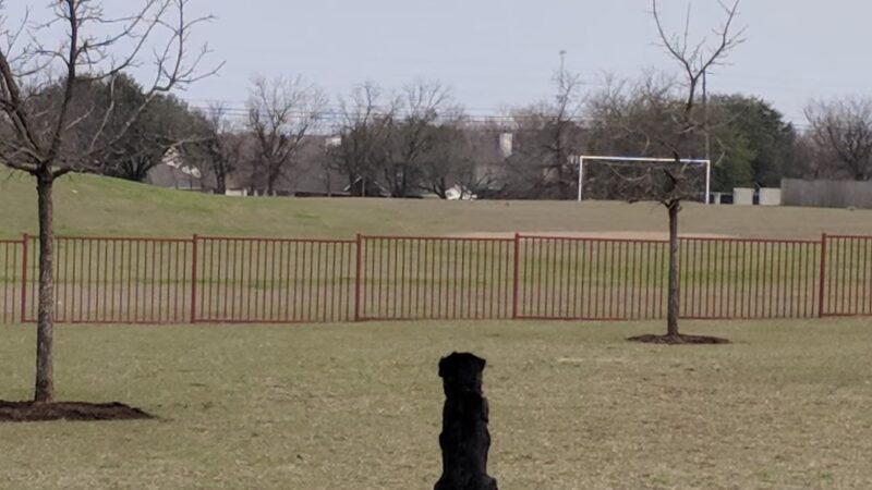 Falcon Pointe Dog Park - Pflugerville, TX