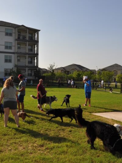 Stone Hill Park - Pflugerville, TX