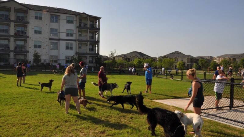 Stone Hill Park - Pflugerville, TX