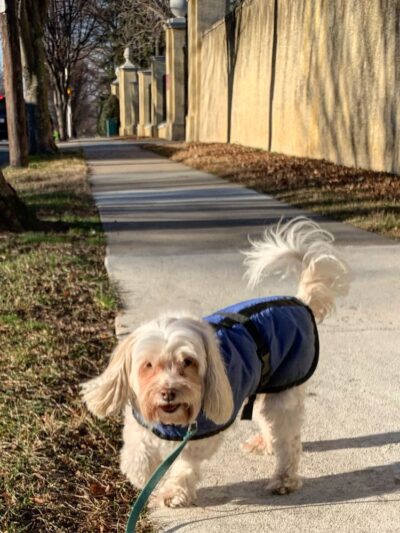 Philadelphia Barking Authority - ,