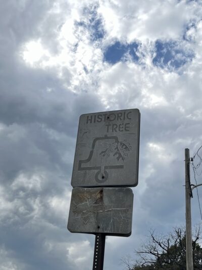 Buist Park - Philadelphia, PA