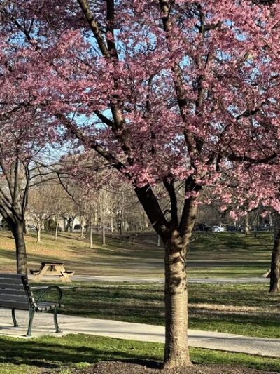Clark Park - Philadelphia, PA
