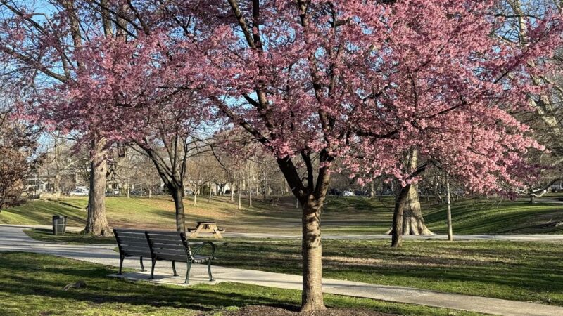 Clark Park - Philadelphia, PA