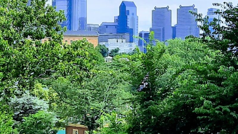 Lemon Hill Park - Philadelphia, PA
